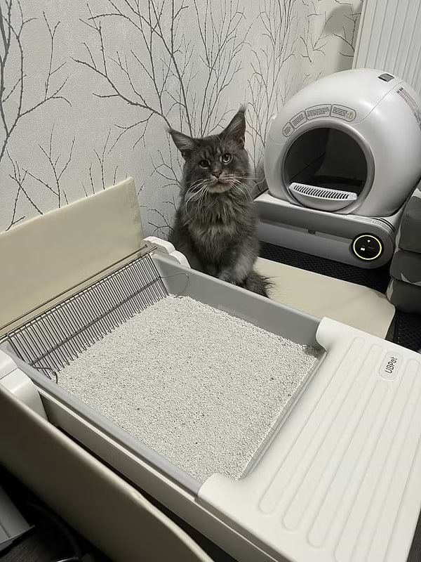 Фото - Смарт-лоток для животных UBPet UBPet C30