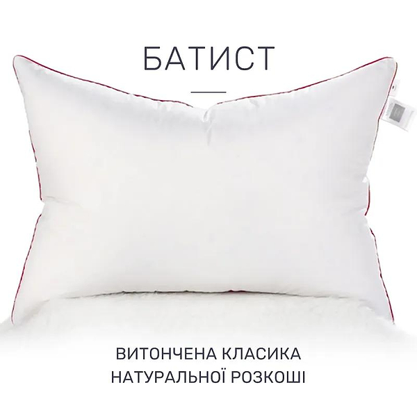 Фото - Подушка стандартна MirSon DeLuxe Thinsulate 102 60x60 см (2200000008909)