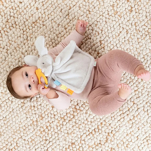 Фото - Погремушка Ingenuity Cozy Sylvi (17302)