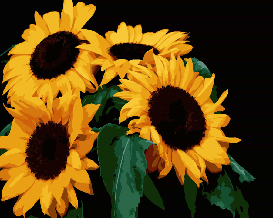 Картина за номерами Strateg Яскраві соняхи на чорному фоні 40х50 см (AH1185-13)