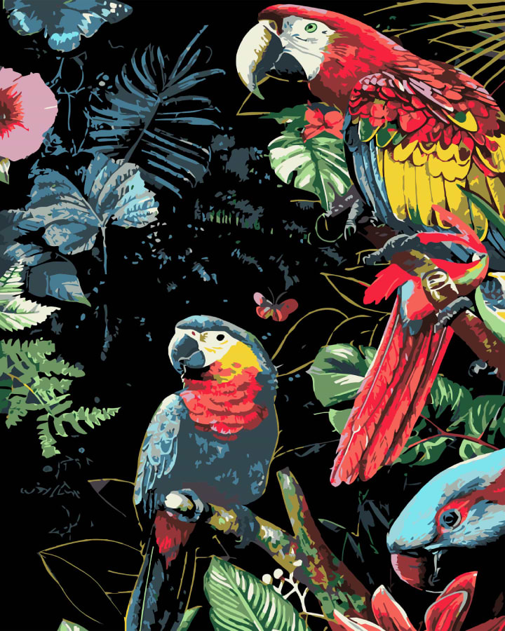 Картина по номерам Strateg Яркие попугаи на черном фоне 40х50 см (AH1201-19)