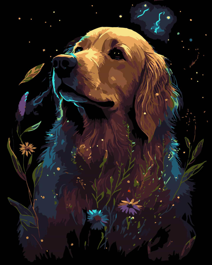 Картина по номерам Strateg Золотой ретривер на черном фоне 40х50 см (AH1206-17)