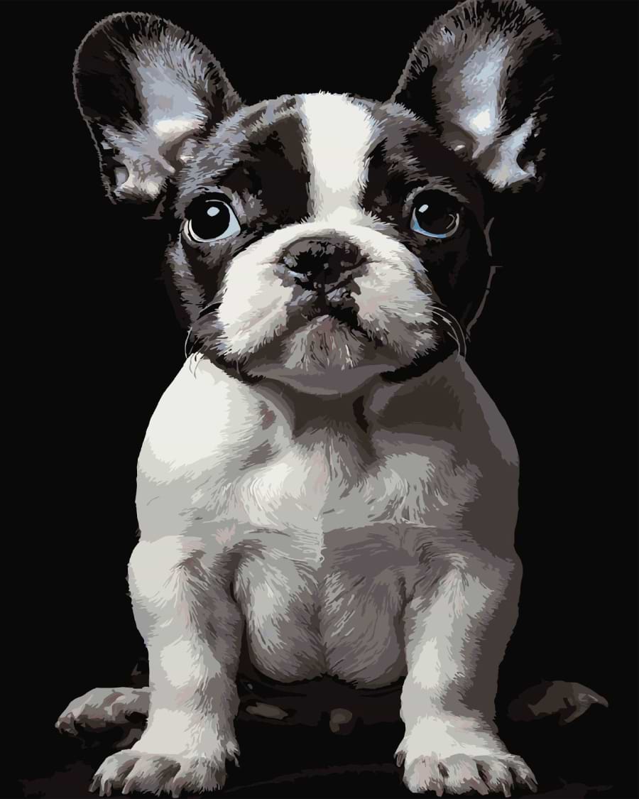 Картина по номерам Strateg Маленькая собака 40х50 (AH1277)