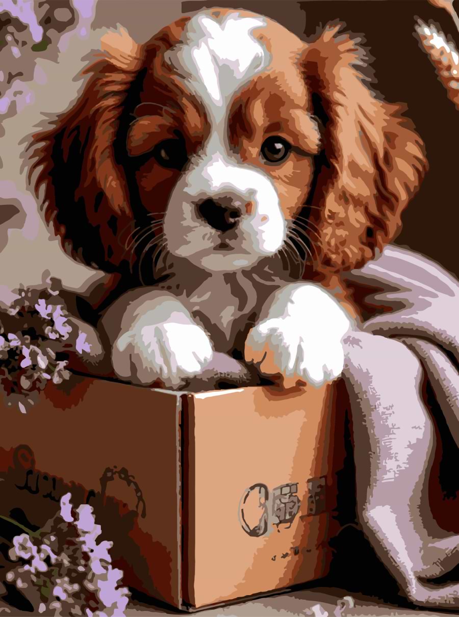 Картина по номерам Strateg Щенок в коробке 30х40 (SS-1287)