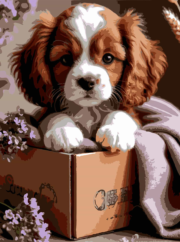 Фото - Картина по номерам Strateg Щенок в коробке 30х40 (SS-1287)