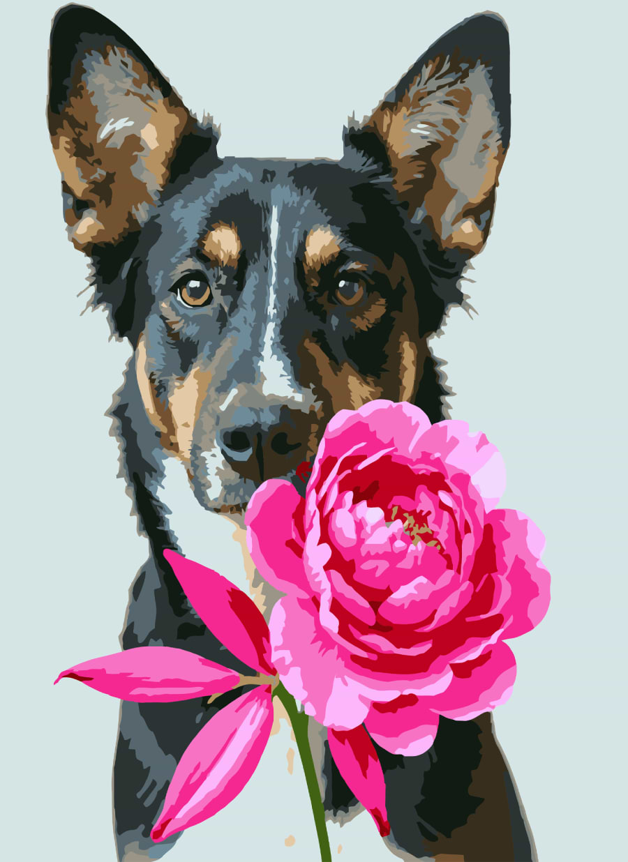 Картина за номерами Strateg Пес з півонією 30х40 (SS-1310)