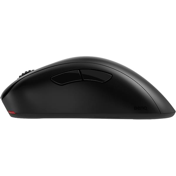 Фото - Мышь беспроводная игровая Zowie EC2-DW Black (9H.N4VBE.A2E)