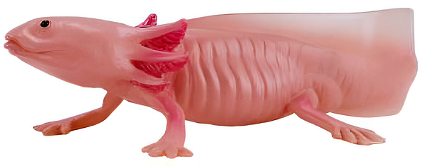 Фото - Фігурки тварини Mojo Аксолотль (381108)