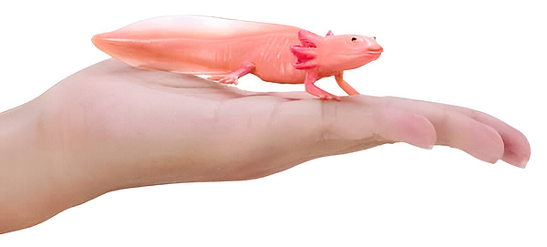 Фото - Фігурки тварини Mojo Аксолотль (381108)