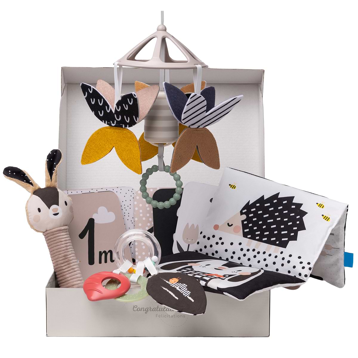 Ігровий набір для малюка Taf Toys Садок у місті – ЧОРНО-БІЛА ГАРМОНІЯ (13475)