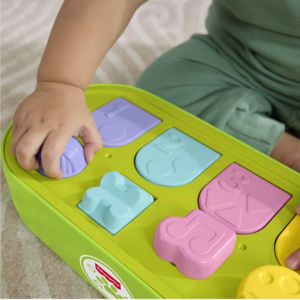 Фото - Сортер Fisher-Price Развивающая игрушка Укрытия со зверьками (JDL66)