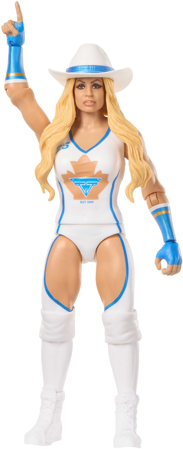 Фото - Коллекционная фигурка WWE WWE (базовая линейка) (в асс.) (GDF62)