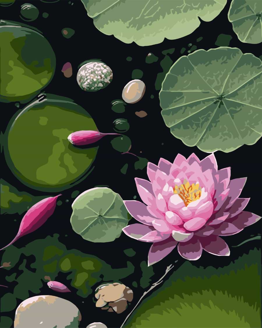 Картина за номерами Strateg Ранкове латаття на чорному фоні 40х50 (AH1265)