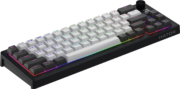 Фото - Клавиатура беспроводная игровая Hator Skyfall 65 PRO wireless (HTK4160UA) grey-black