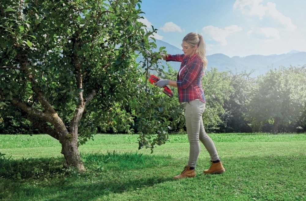 Фото - Секатор аккумуляторный Einhell GE-LS 18 Li Kit 18В PXC (3408300K)