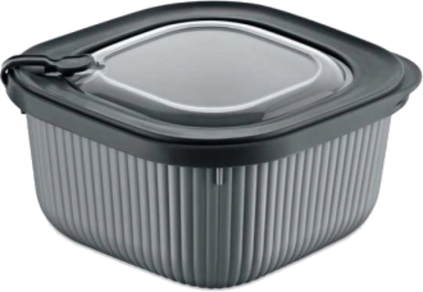 Емкость для хранения Dunya 30901-DN-anthracite MicroLine 0,6 л