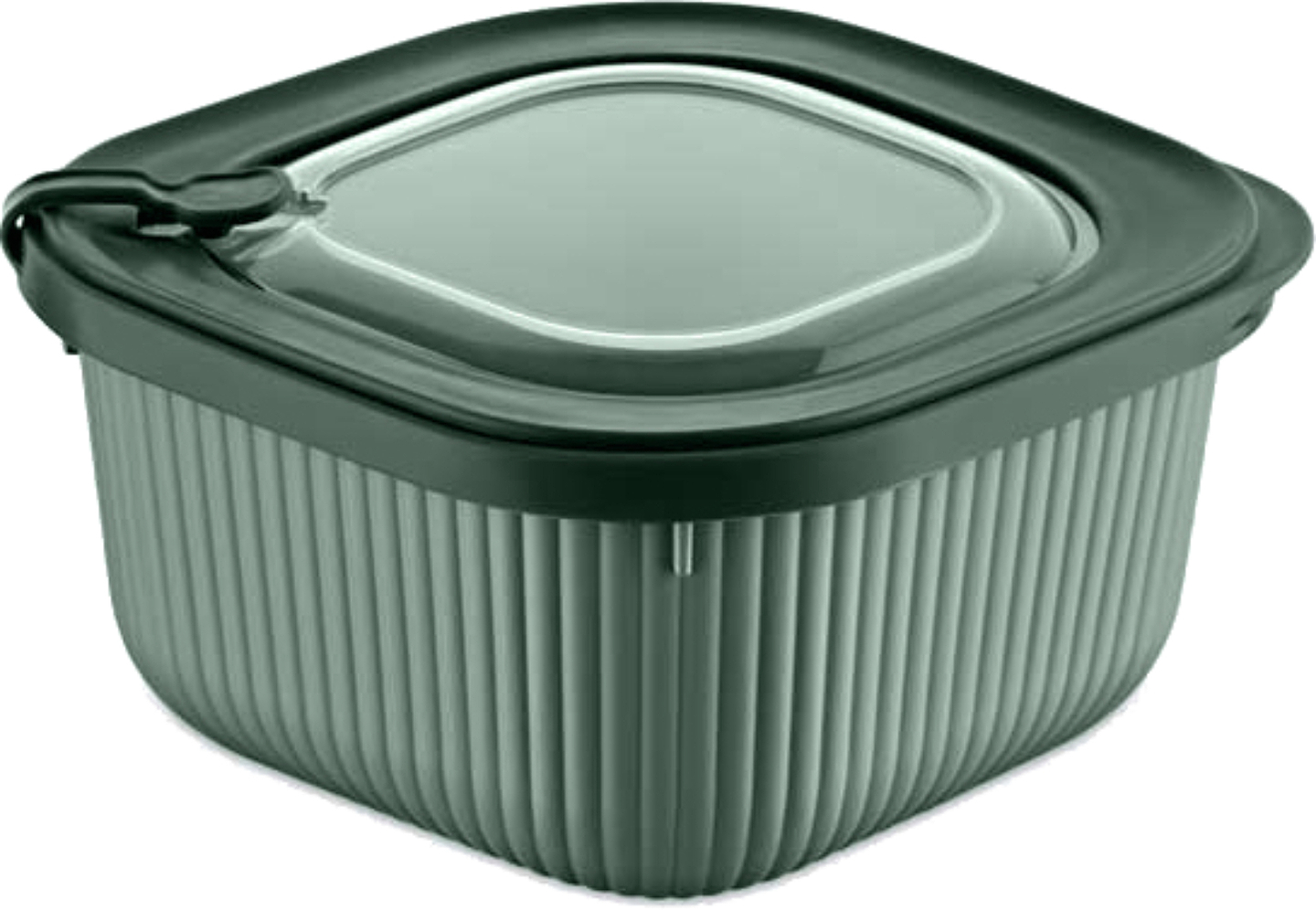 Емкость для хранения Dunya 30901-DN-dark-green MicroLine 0,6 л