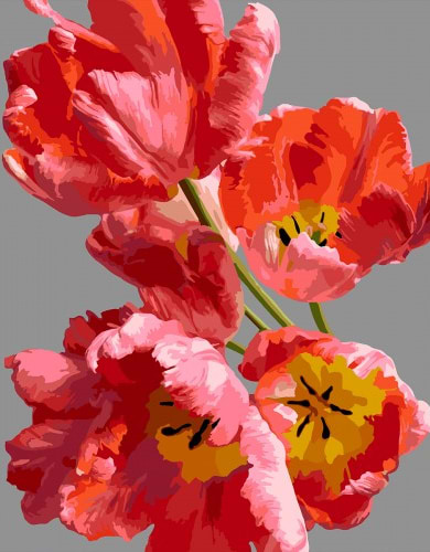 Фото - Картина за номерами Santi Рожеві тюльпани 40х50 см (955788)