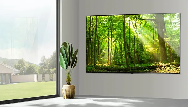 Фото - Уценка - Телевизор LG 55NANO966PA