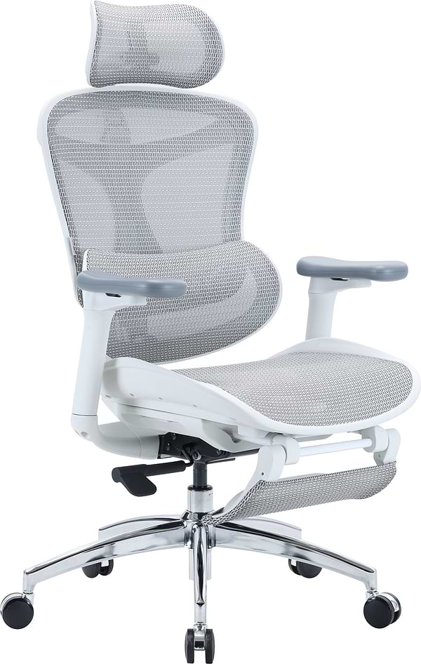 Фото - Кресло офисное Sihoo DORO C300L Mesh White with footrest (DORO-C300L-A3-102-JT)