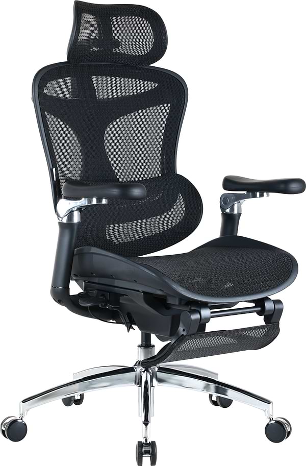 Фото - Кресло офисное Sihoo DORO C300 Pro Mesh Black with footrest (DORO-C300-PRO-M101-JT)
