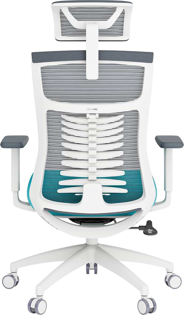 Фото - Крісло офісне OfficePro Balance (OC550-W-DG-BL) White/Dark Gray/Blue