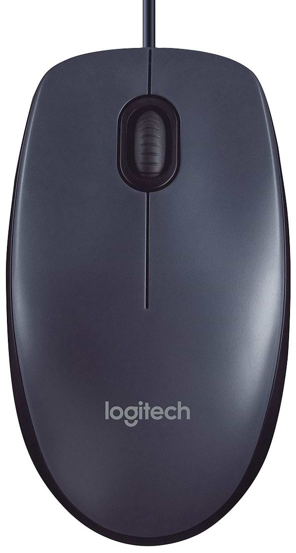 Фото - Мышь компьютерная Logitech B100 (910-003357)