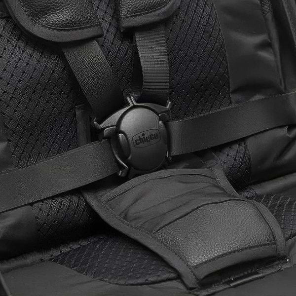 Фото - Коляска прогулянкова Chicco Goody Primo Stroller кол.31 (87069.31)