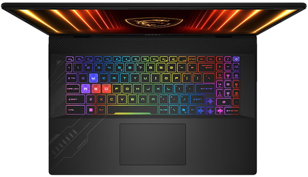 Фото - Ноутбук ігровий MSI Crosshair A17 HX D8WFKG-023XUA (9S7-17TL23-023) Gray