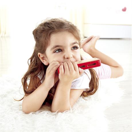 Фото - Гармошка Hape Блюз (E0616)