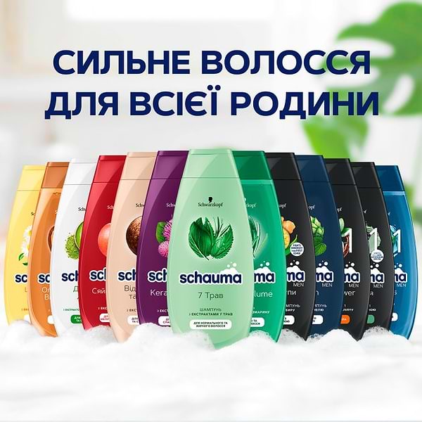 Фото - Шампунь мужской Schauma с Хмелем 250 мл (4012800567658)