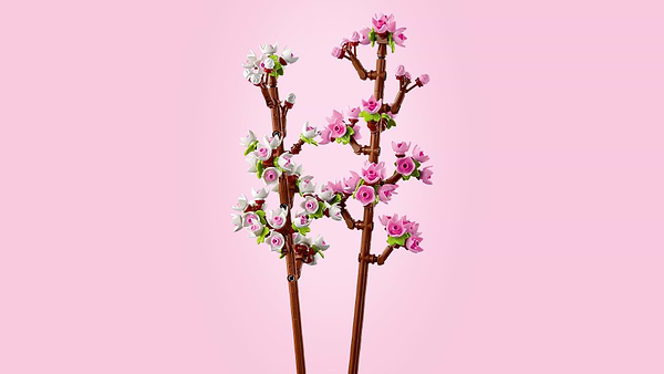 Фото - Конструктор LEGO Botanicals Цвет вишни (40725)
