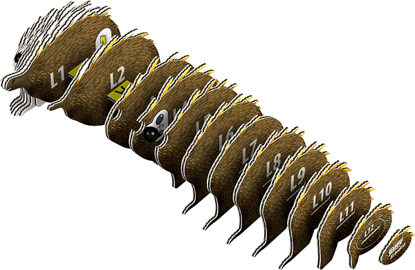 Фото - 3D пазли EUGY Зоопарк: Єхидна (XEG-058)