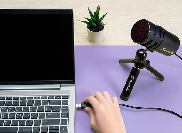 Фото - Мікрофон до комп'ютера Avermedia AM310G2 Versati Go (40AAAM310AWL)