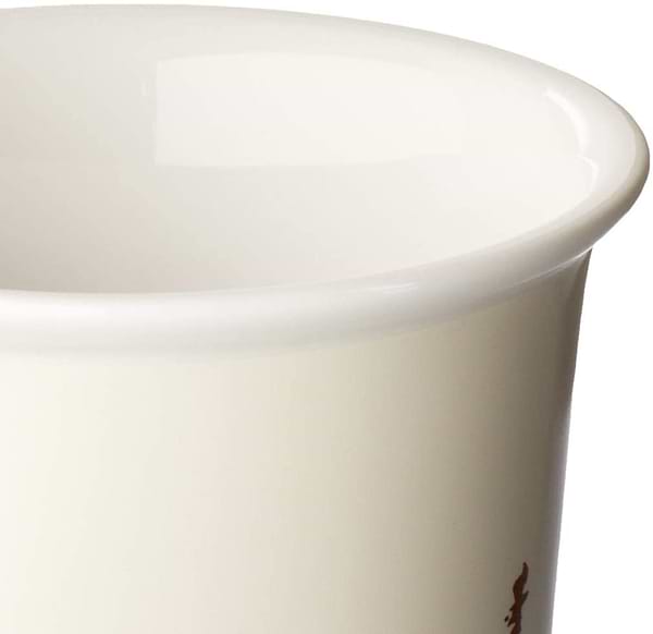 Фото - Термокружка Delonghi The Globetrotter (DLSC057)