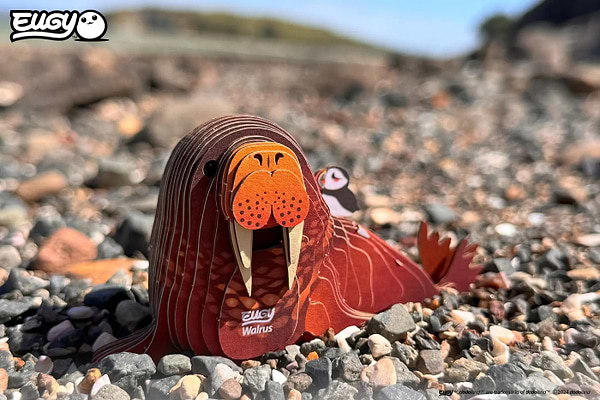 Фото - 3D пазли EUGY Зоопарк: Морж (XEG-107)