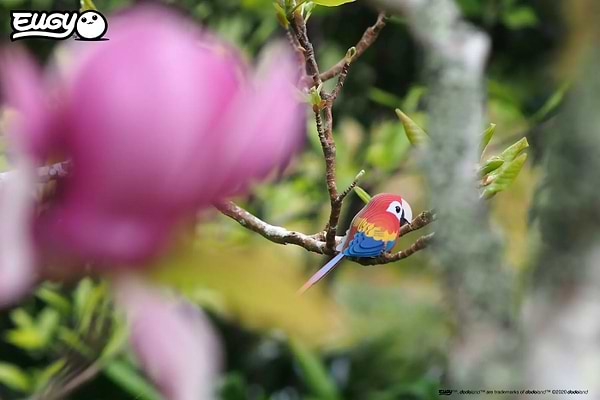 Фото - 3D пазли EUGY Зоопарк: Папуга Ара (XEG-023)