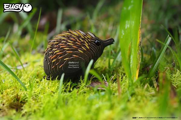 Фото - 3D пазли EUGY Зоопарк: Єхидна (XEG-058)