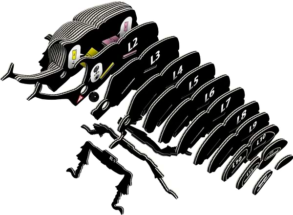 Фото - 3D пазли EUGY Зоопарк: Жук-носоріг (XEG-113)