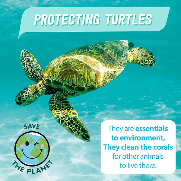 Фото - Набір для декупажу та розпису Canal Toys DIY AIRBRUSH PLUSH NATURE Зелена Черепаха (OFG280)