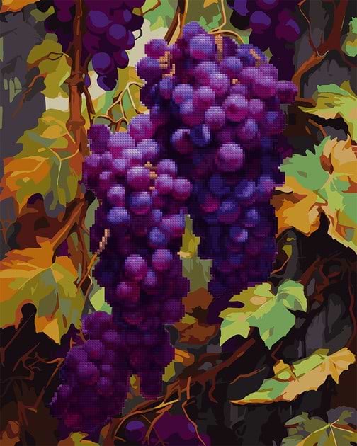 Картина по номерам Santi Гроздь винограда 40х50 (954879)