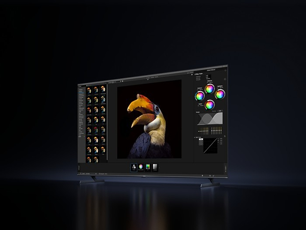 Фото - Телевизор Xiaomi TV S Pro Mini LED 65 (L65MB-SME)