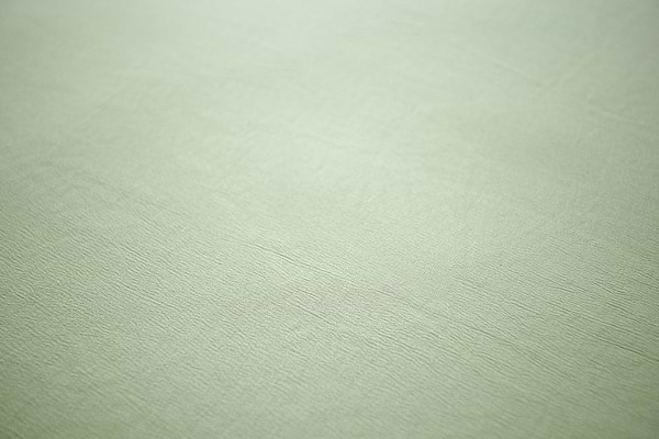 Фото - Комплект постільної білизни Zastelli 145х210 Зелений (22081)