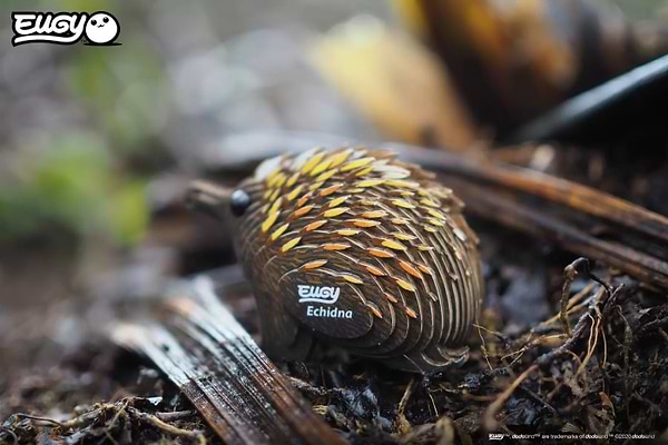 Фото - 3D пазли EUGY Зоопарк: Єхидна (XEG-058)