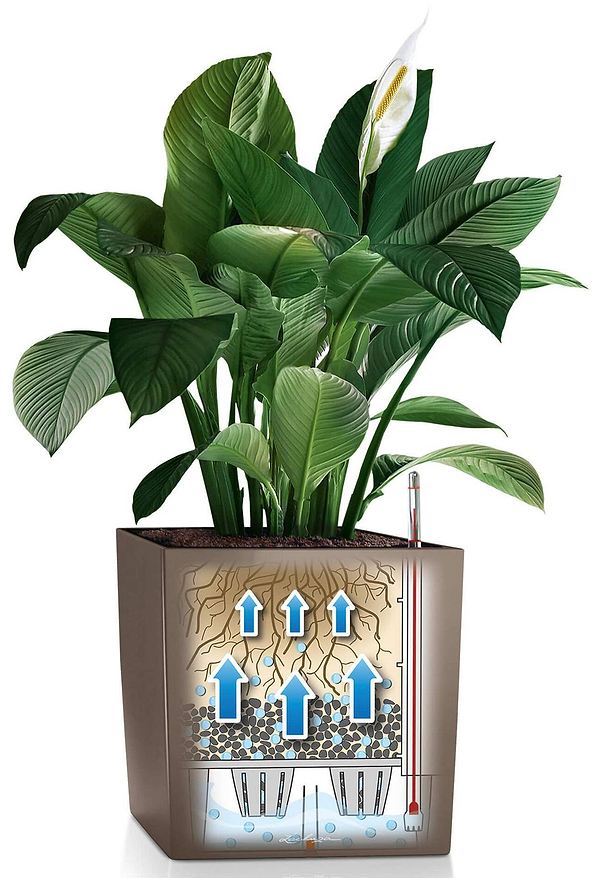 Фото - Вазон Lechuza CUBE 50/50/50 Premium Білий 16560