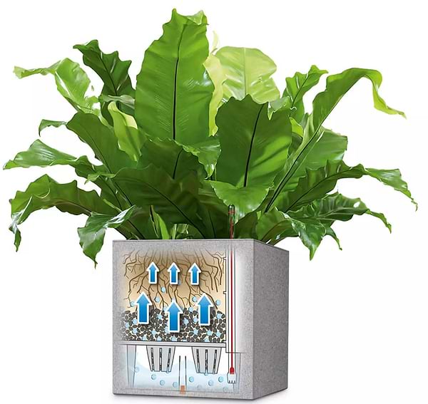 Фото - Вазон Lechuza Canto Slatestone Low  30 темно-сірий 15931