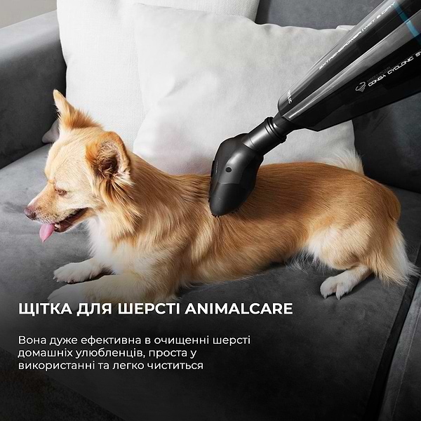 Фото - Пылесос ручной для дома Cecotec Conga Immortal ExtremeSuction 22,2 Animal Hand