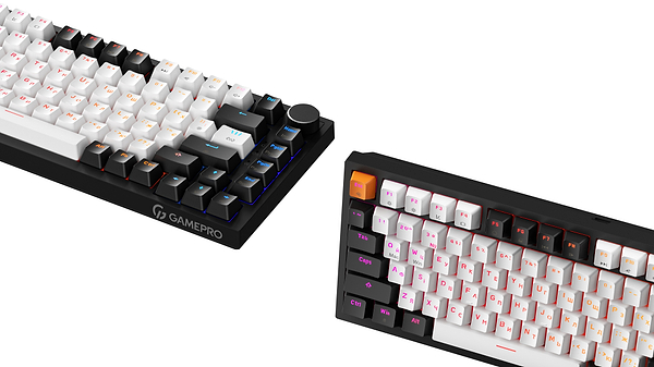 Фото - Клавиатура проводная игровая GamePro Asgard Valhalla Max Magnetic Switches USB Black (MK160B MAX)