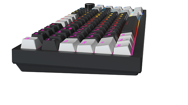 Фото - Клавіатура бездротова ігрова GamePro Asgard Valhalla Pro 75% Wireless/Bluetooth/USB Black (MK160B-D-Pro)