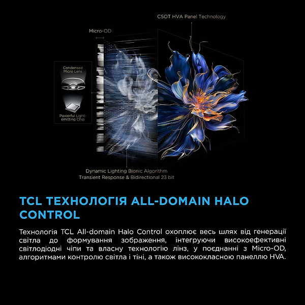 Фото - Телевизор TCL 50C6KS